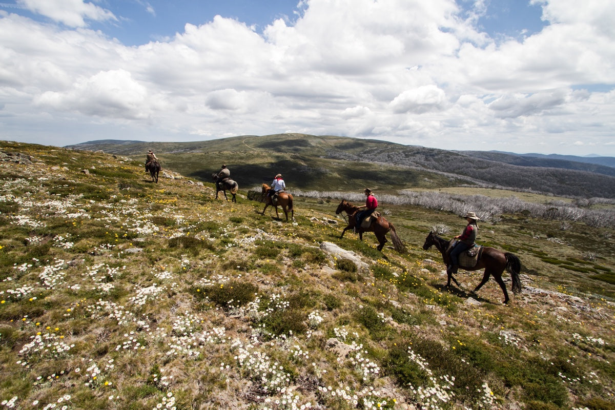 History Of The High Plains: 5-Day Tour