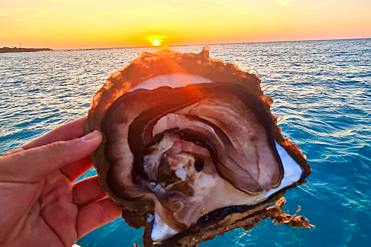 Broome Sunset, Seafood & Pearling Cruise