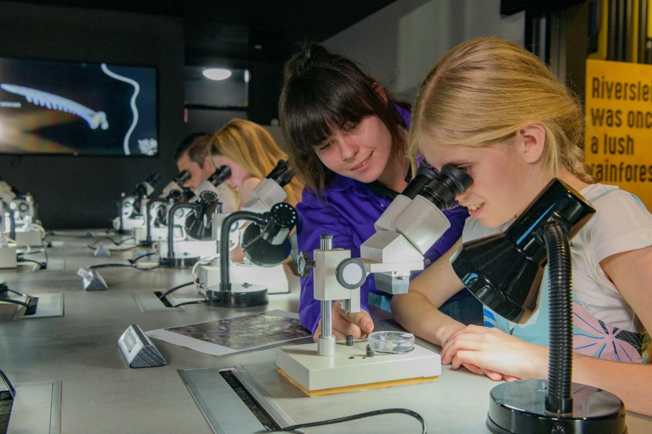 Guided Riversleigh Fossil Discovery Centre & Laboratory