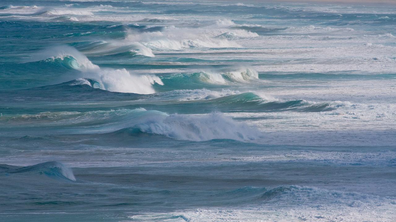 North Stradbroke Island Tour