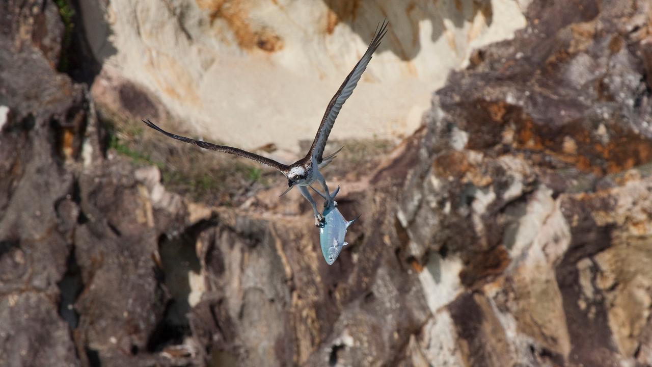 North Stradbroke Island Tour