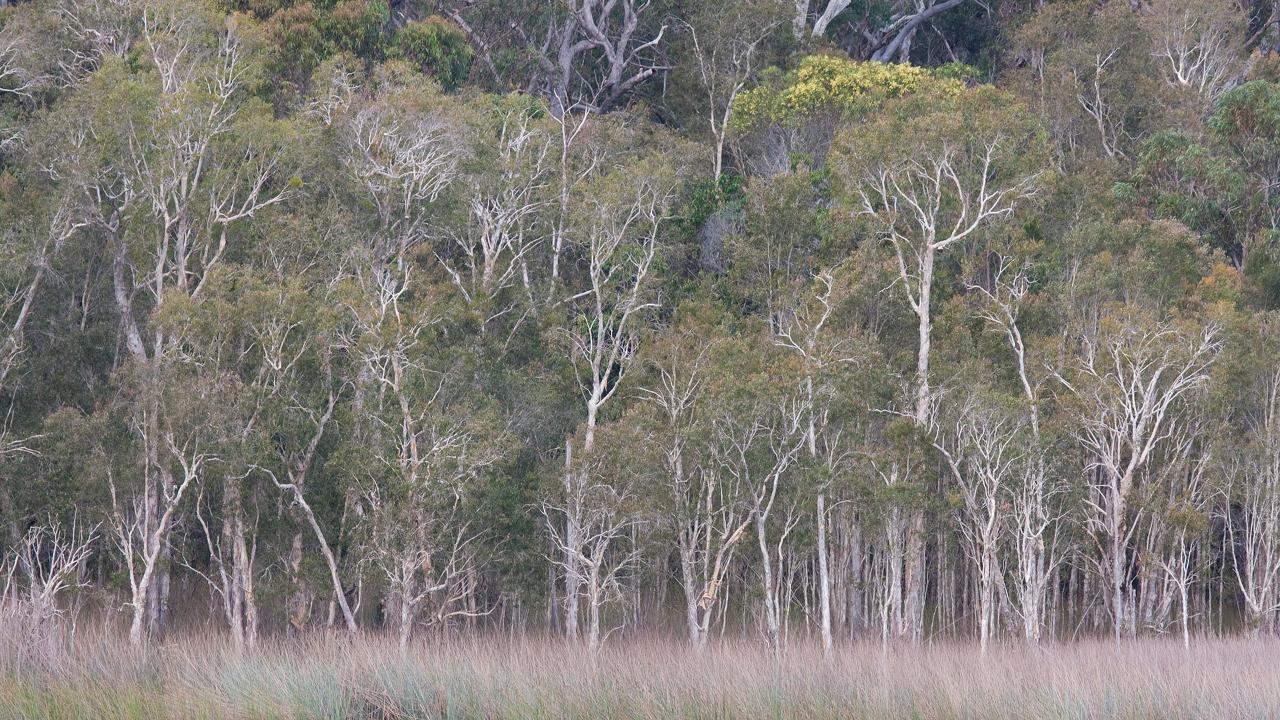 North Stradbroke Island Tour