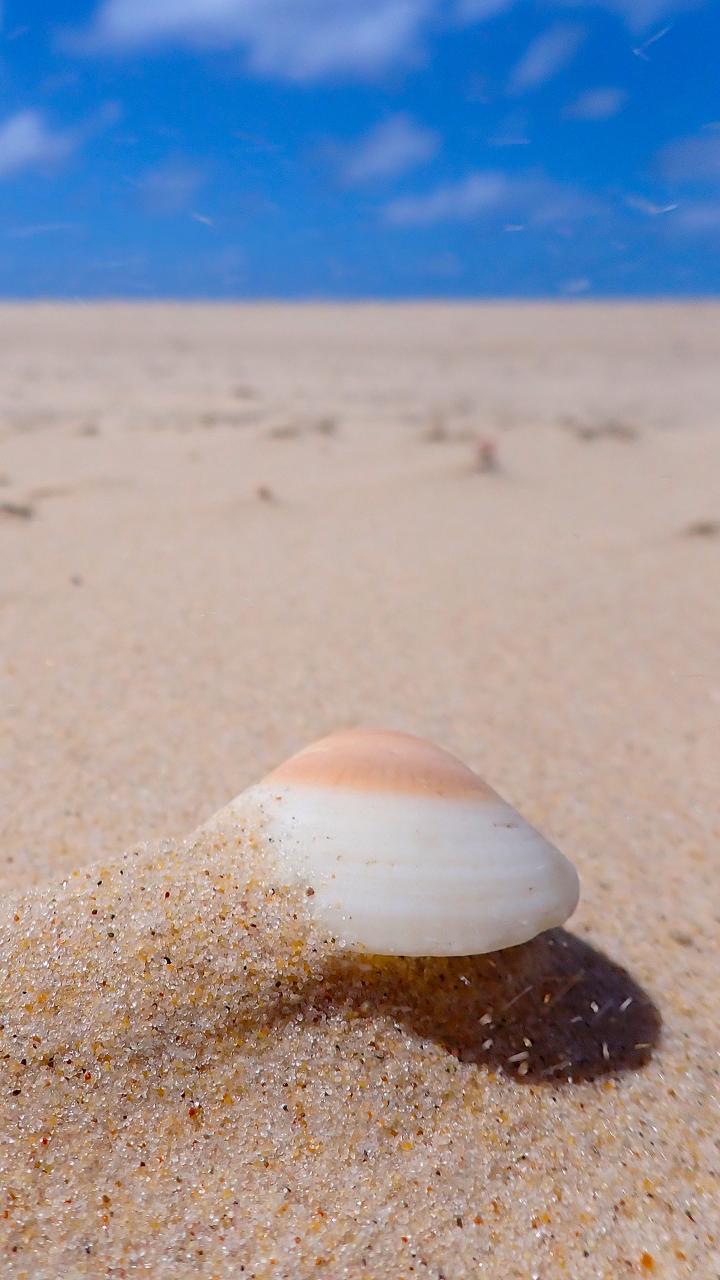 North Stradbroke Island Tour