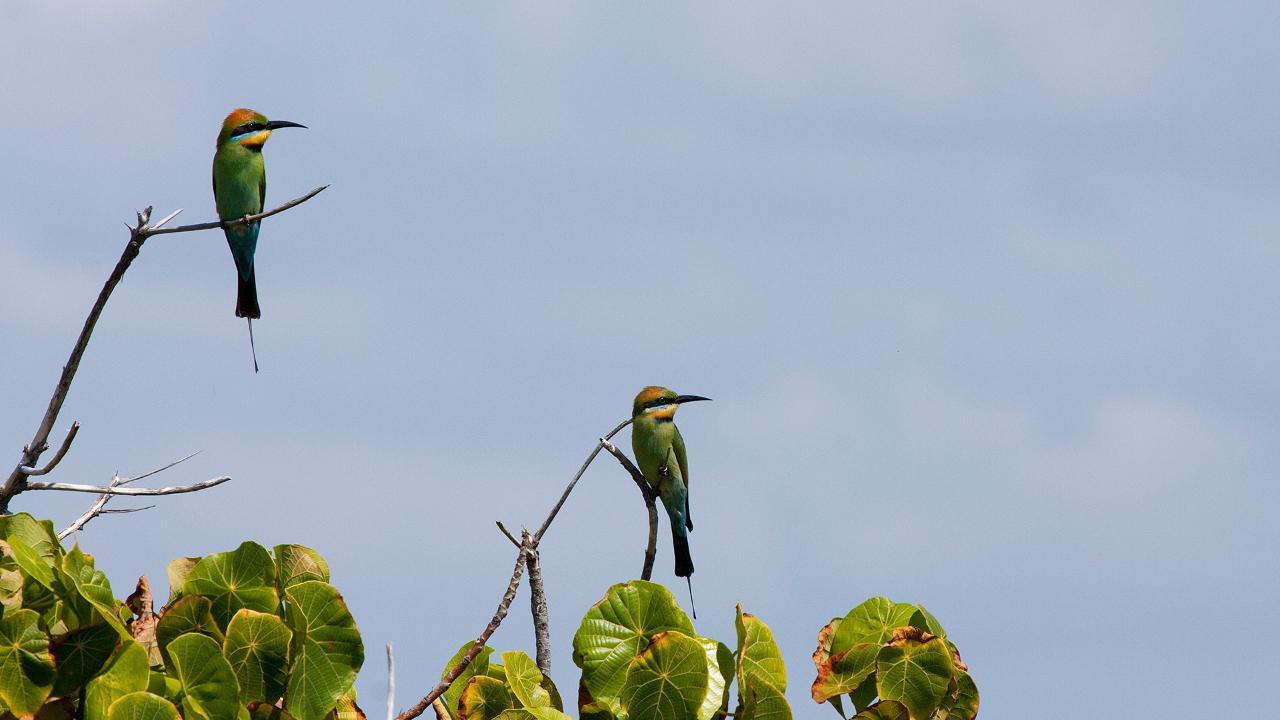 North Stradbroke Island Tour