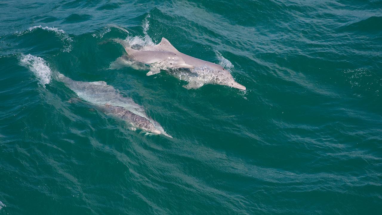 North Stradbroke Island Tour