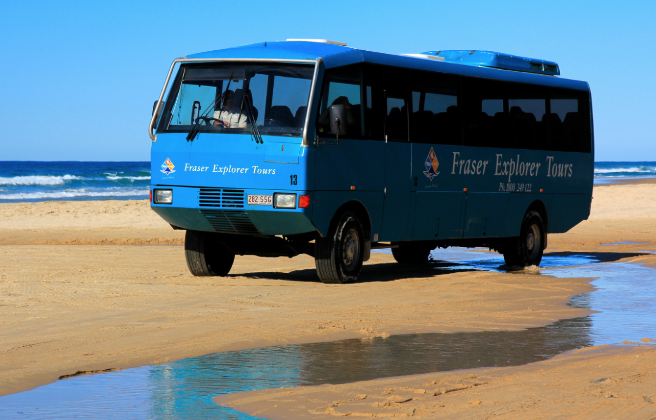 Whale Watch & K'Gari Explorer Day Tour Package
