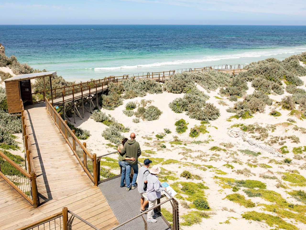 Private Coach - Seal Bay Beach Experience 24 Seater