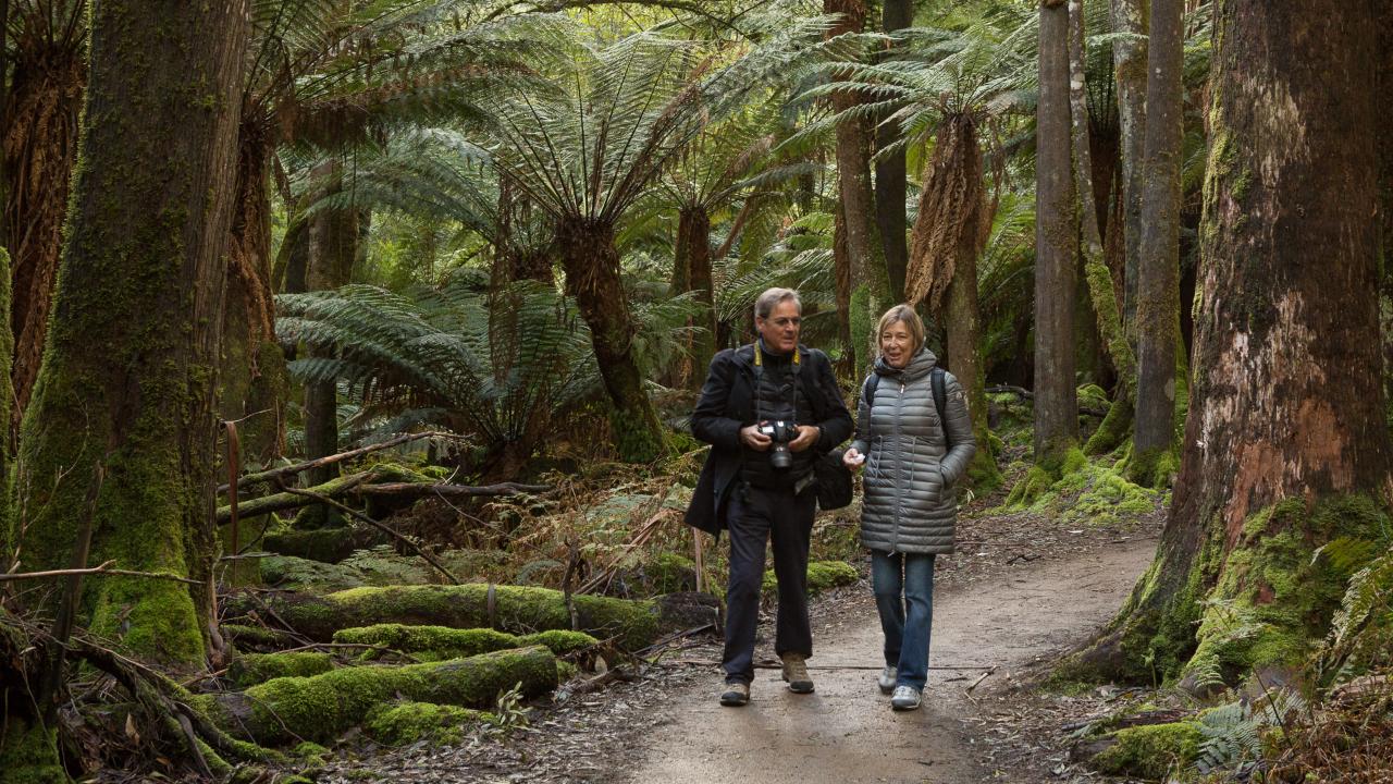 Mt Field National Park - Premium Private Photo-Oriented Day Tour