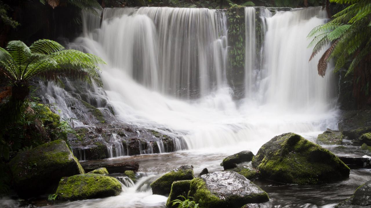 Mt Field National Park - Premium Private Photo-Oriented Day Tour
