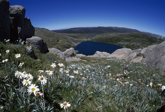 Snowy Mountains - New South Wales - 4 Days