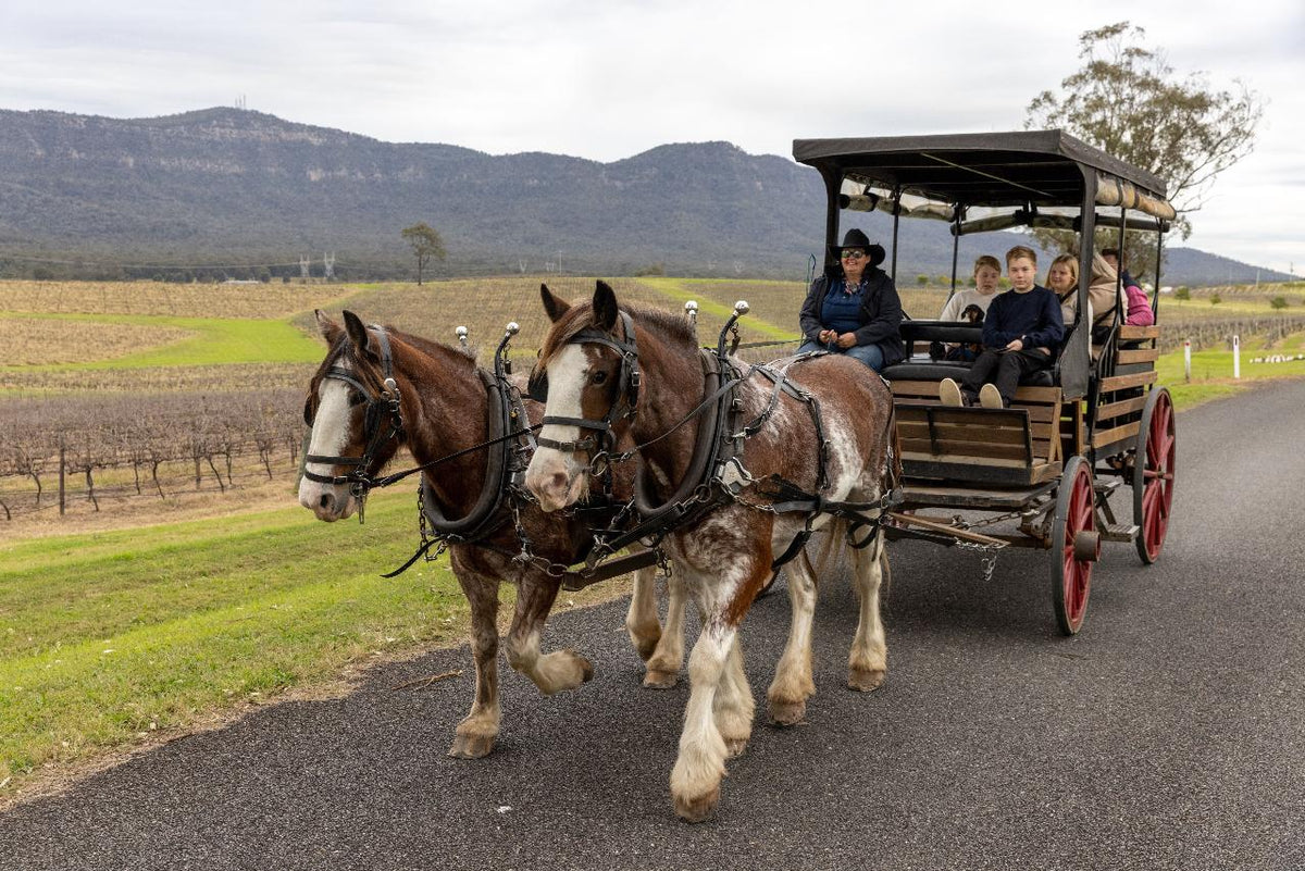 Harvest The Hunter Wine And Produce Tour