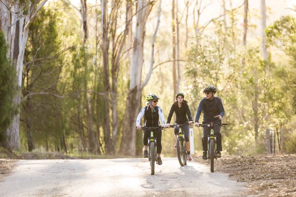 Self Guided E-Bike Tour - Pedal To Produce Series - Narooma To Dromedary Hotel