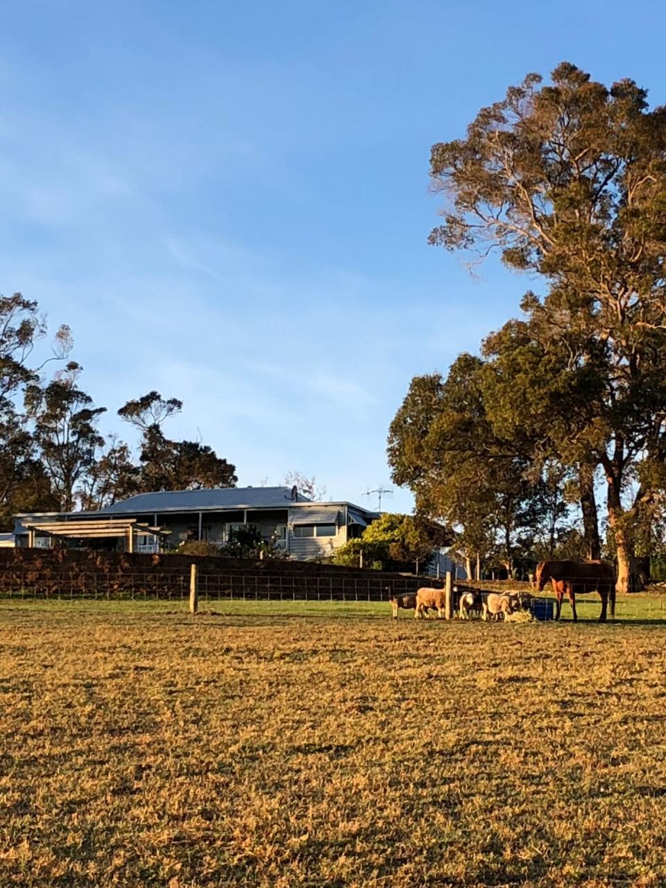 The Grange On Kalgan Eco Experience Half Day Tour