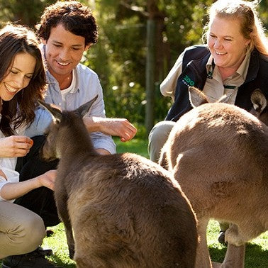 Melbourne Zoo General Entry