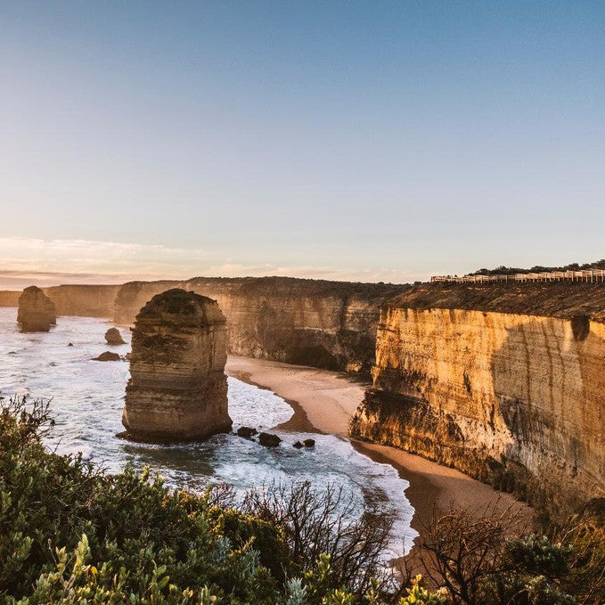 Wildlife Tours Australia: Great Ocean Road Rainforest Tour