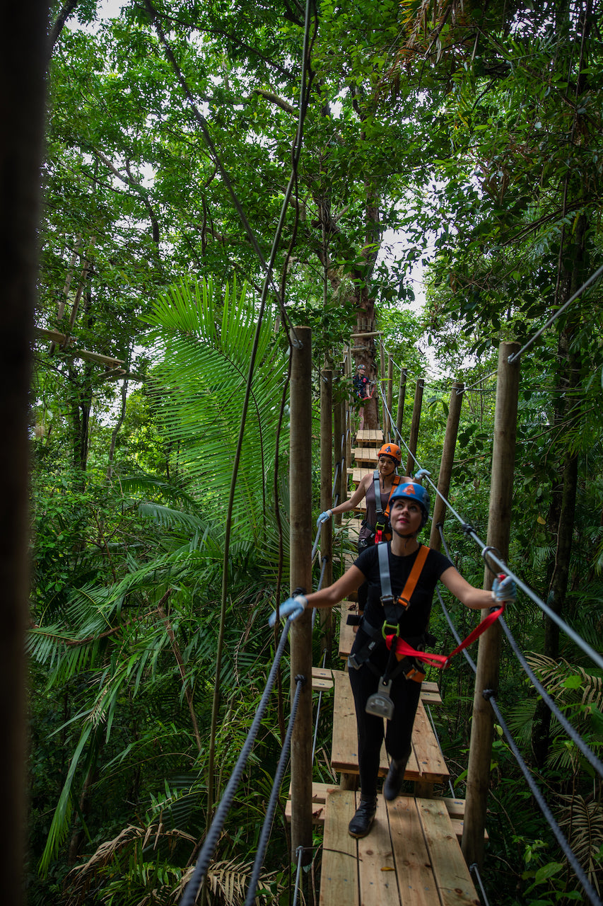 Zipline Tour