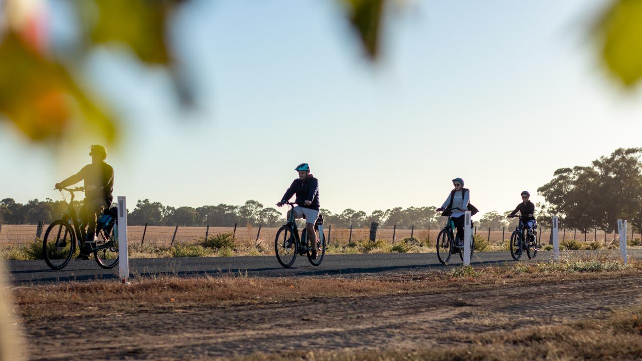 Bike To Winery - Guided E-Bike Tour