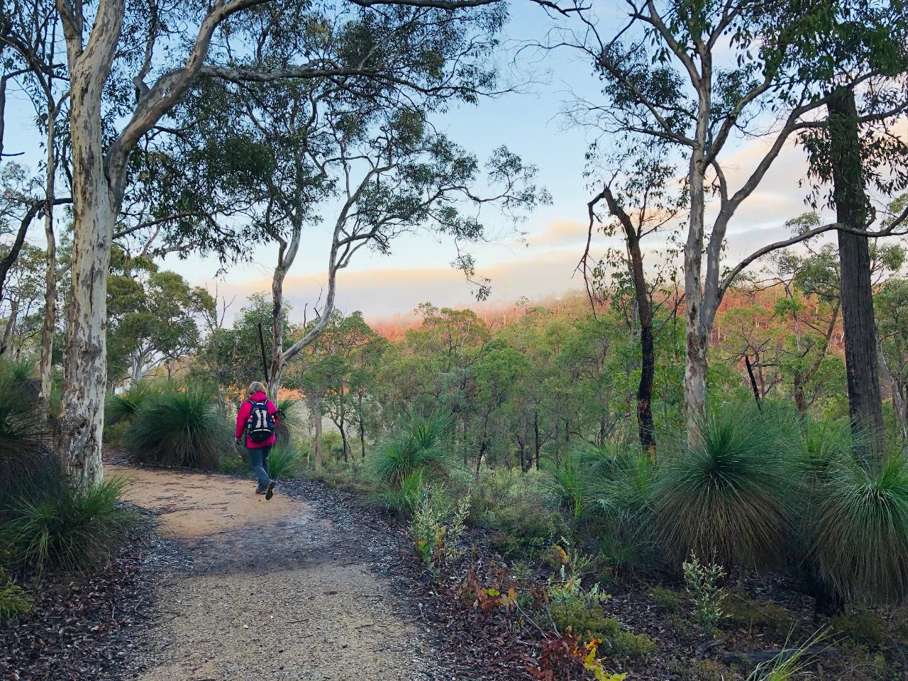 Bickley Valley Hiking Experience