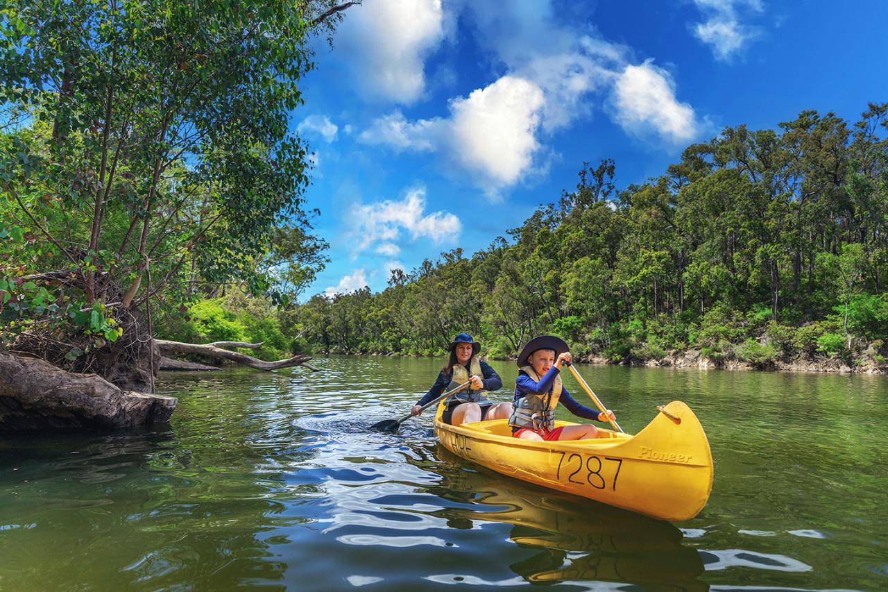 Paddle And Picnic Tour