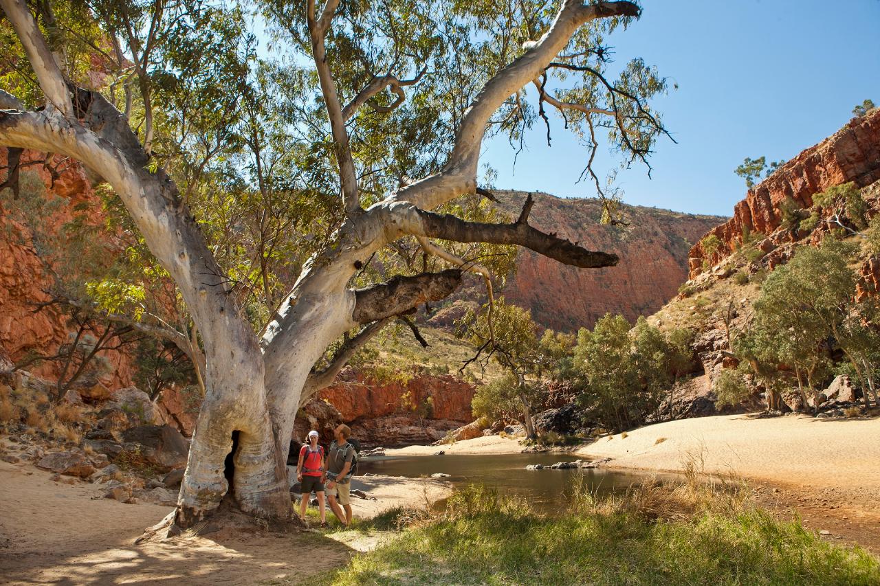 Uluru Kings Canyon To West Macdonnell 4 Day - Basic Swag From Ayers Rock/Yulara