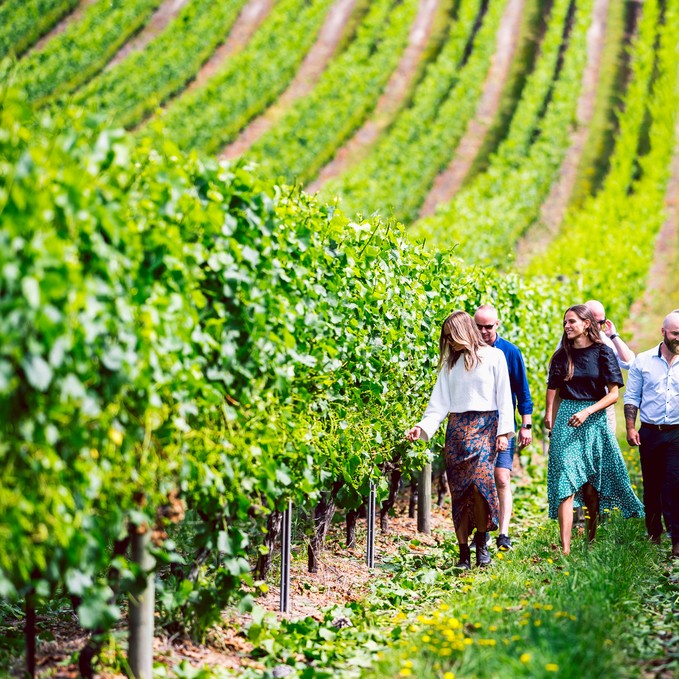 Southern Tasmanian Wine Tour