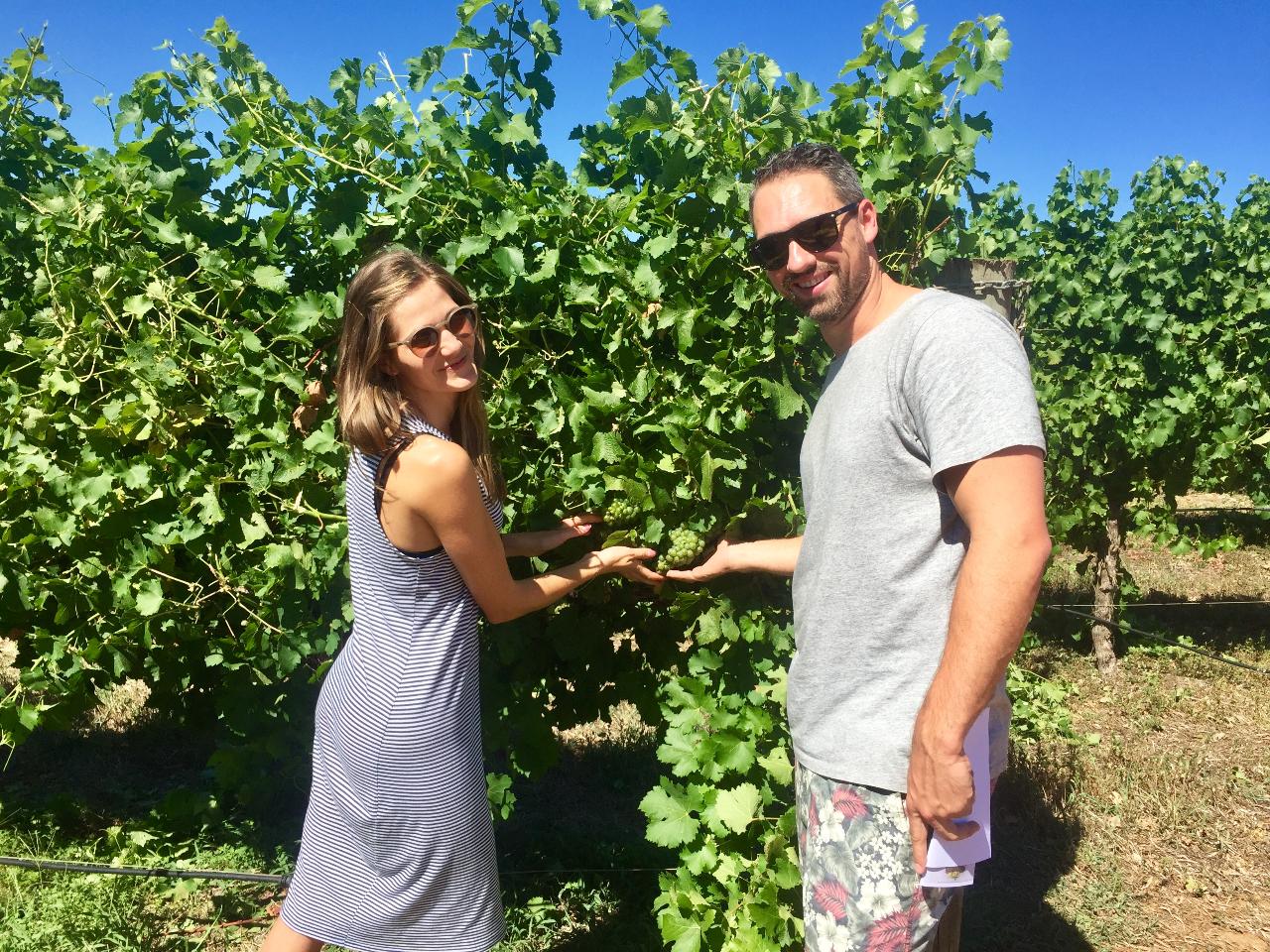 Margaret River Wine & Beer Adventure (Departs Dunsborough, Yallingup, Busselton)