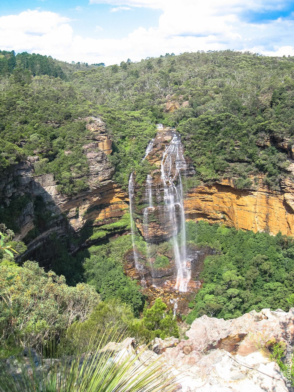 Into The Blue - Blue Mountains Private Full Day Tour