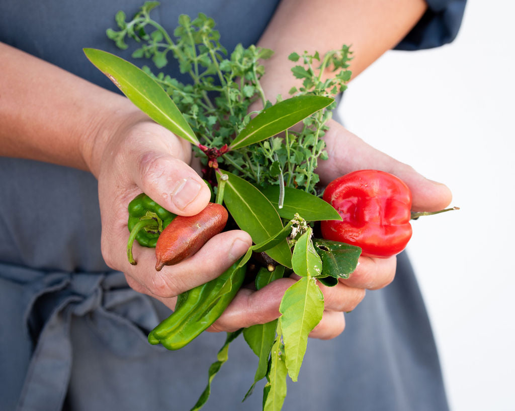 Cooking With Australian Ingredients Master Class
