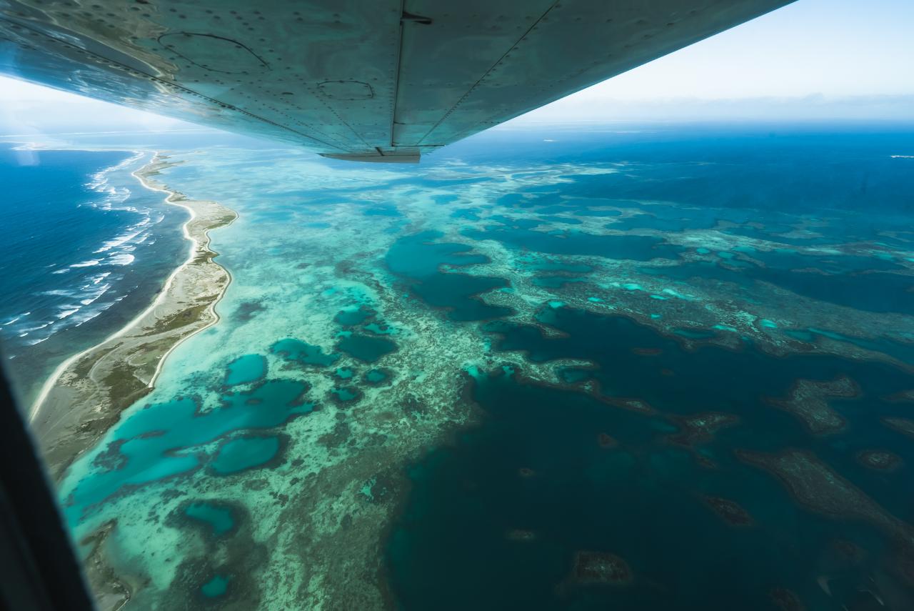 Pink Lake And Abrolhos Islands - Half Day Tour