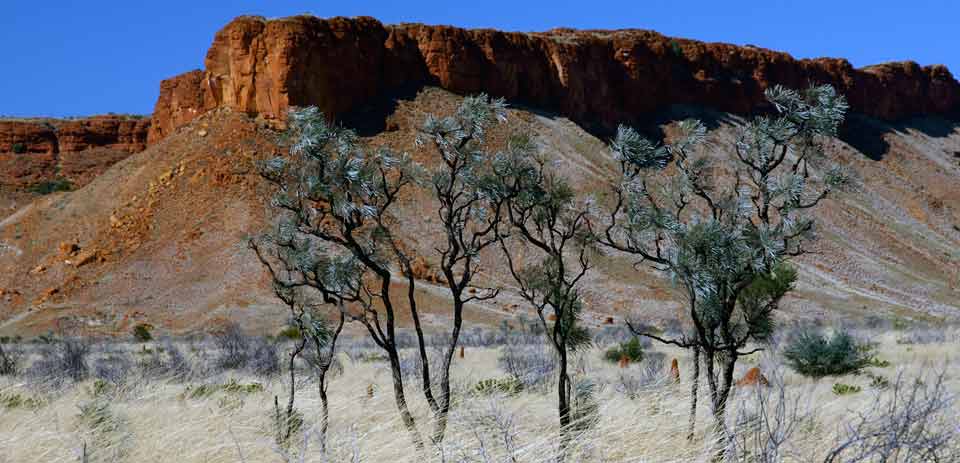 Canning Stock Route Expedition