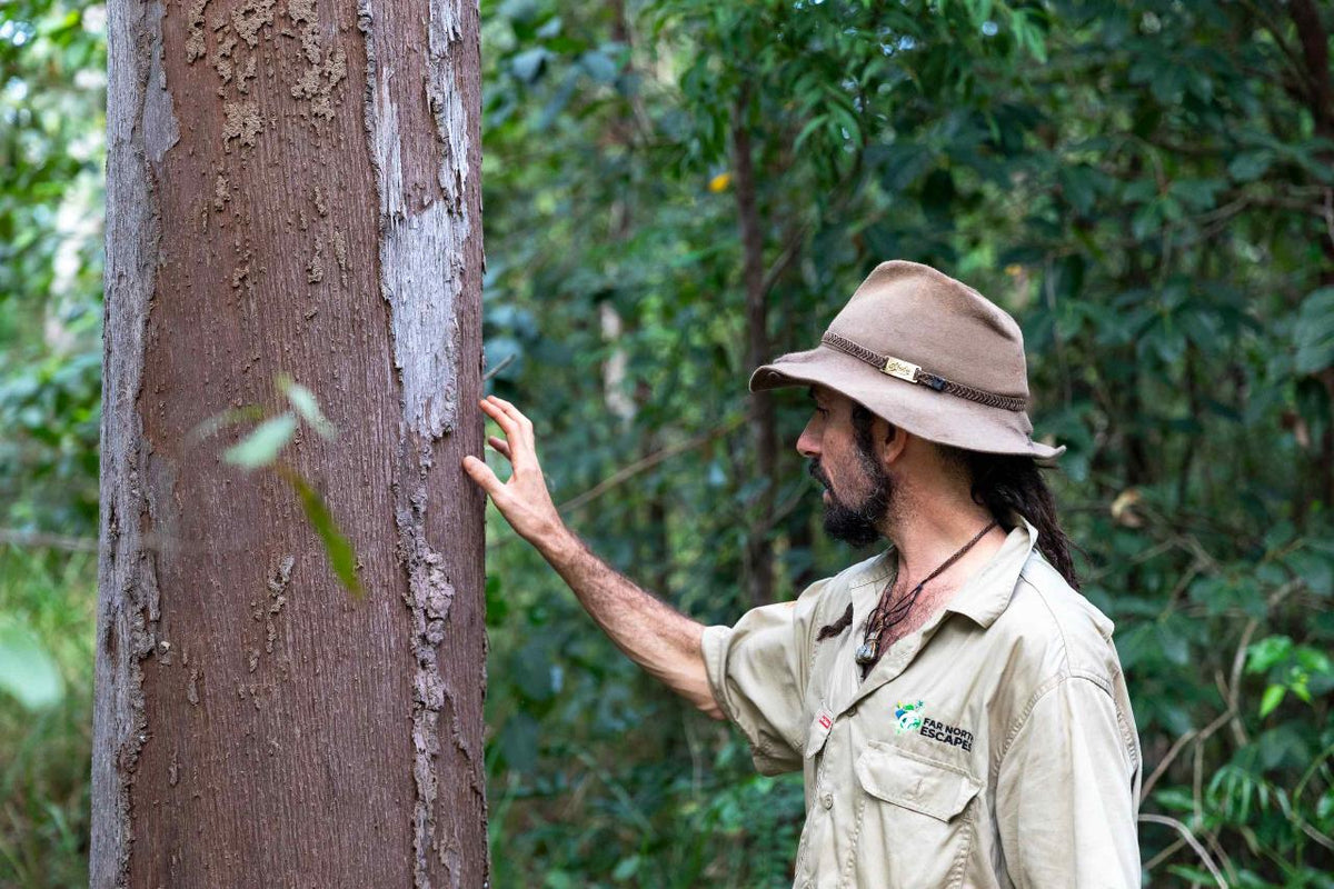 12-Day 4Wd Premium Cape York Tour