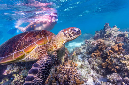 Autopia Tours: Perth To Exmouth Explorer 7 Day