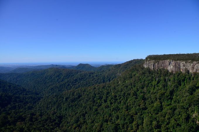 Springbrook & Tamborine Rainforest Glow Worm Day Tour