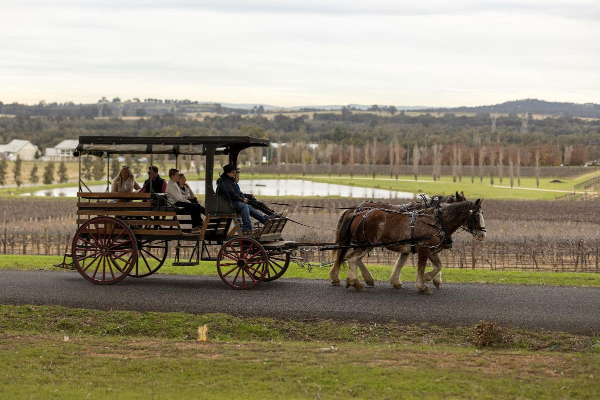 Harvest The Hunter Wine And Produce Tour