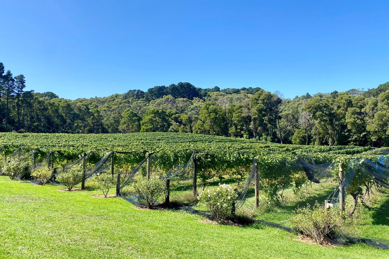 Mornington Peninsula Victoria - Self-Guided Cycle Tour