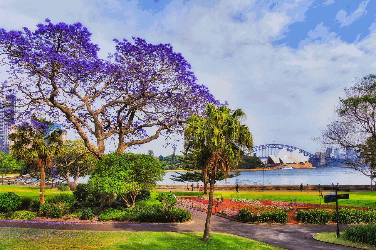 The Classic Sydney Full Day Private Tour