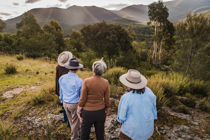 Kangaroos And Koala Experience Tour - Canberra