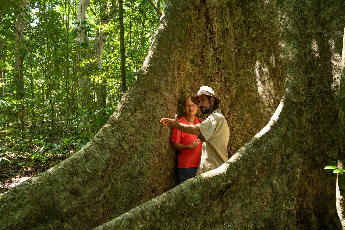 12-Day 4Wd Premium Cape York Tour