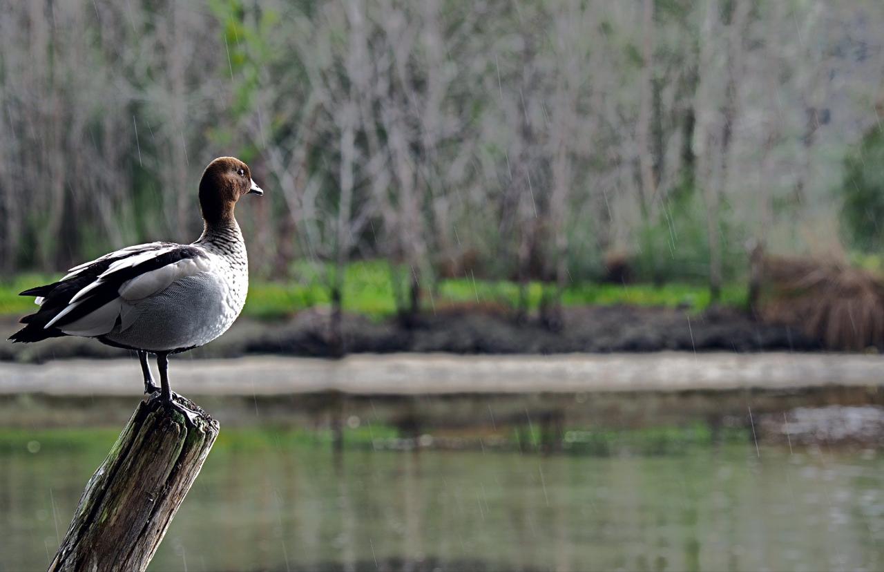 Fishermans Paradise Eco-Walk - Private Tour