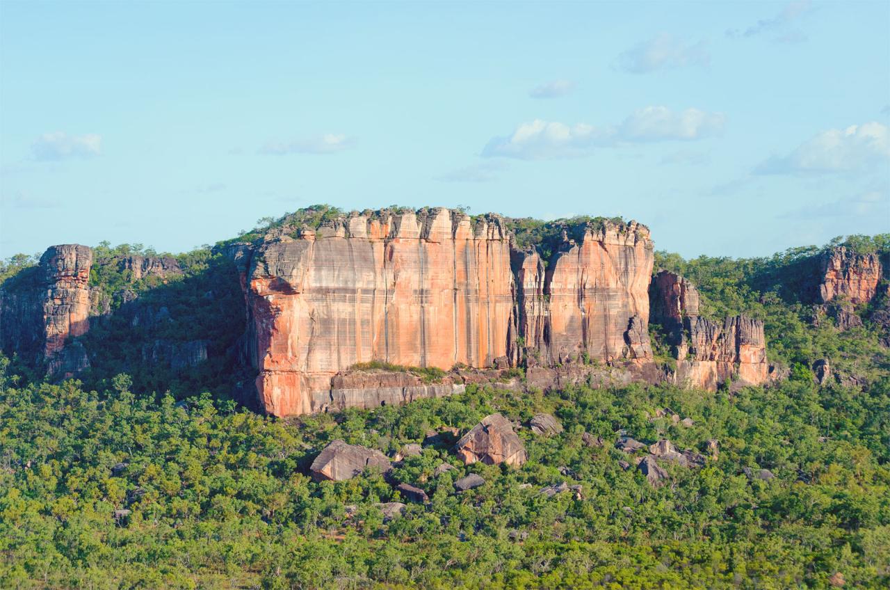 Cooinda 60 Minute Scenic Flight