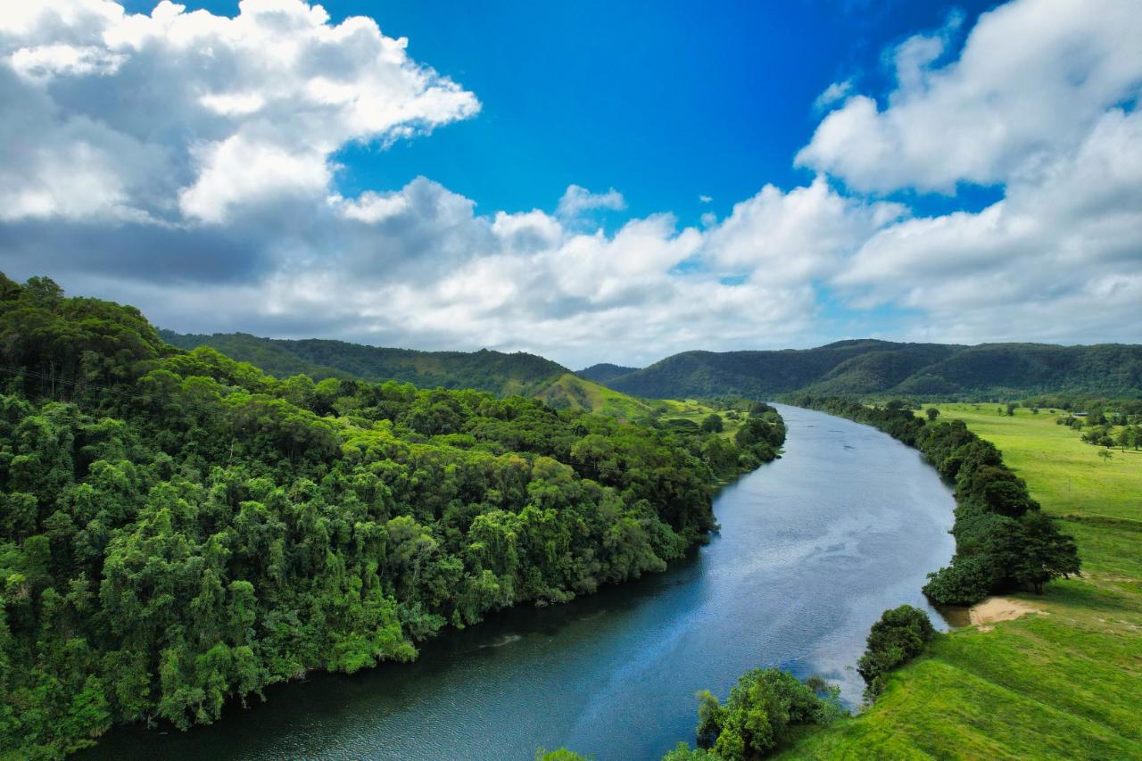 Crocodile Express Daintree Rainforest & Wildlife Cruise From Daintree Village