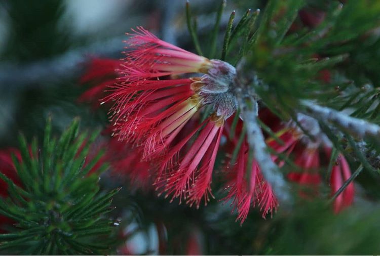 Wheatbelt To Great Southern Wilderness Escape Tour