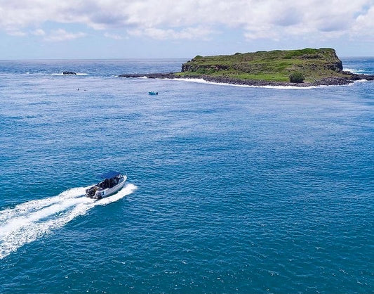 Snorkel With The Turtles In A Private Boat