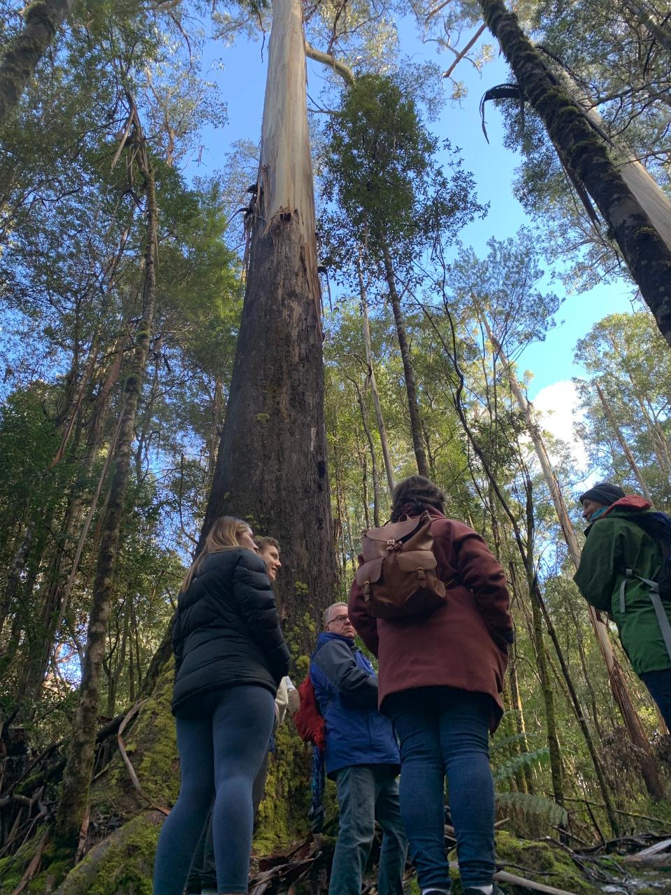 6D5N Tasmania Unveiled: Discovering Icons And Hidden Gems