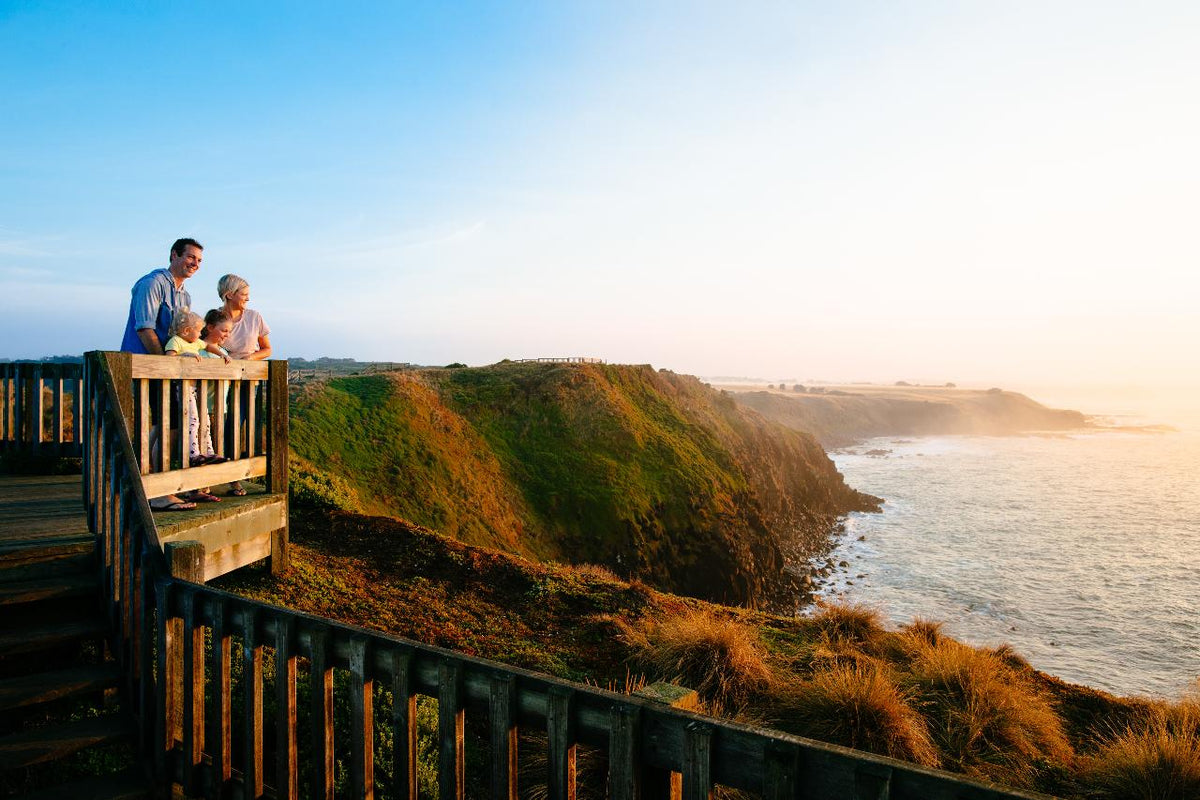Autopia Tours: Phillip Island & Koala Highlights - Penguins Plus Viewing