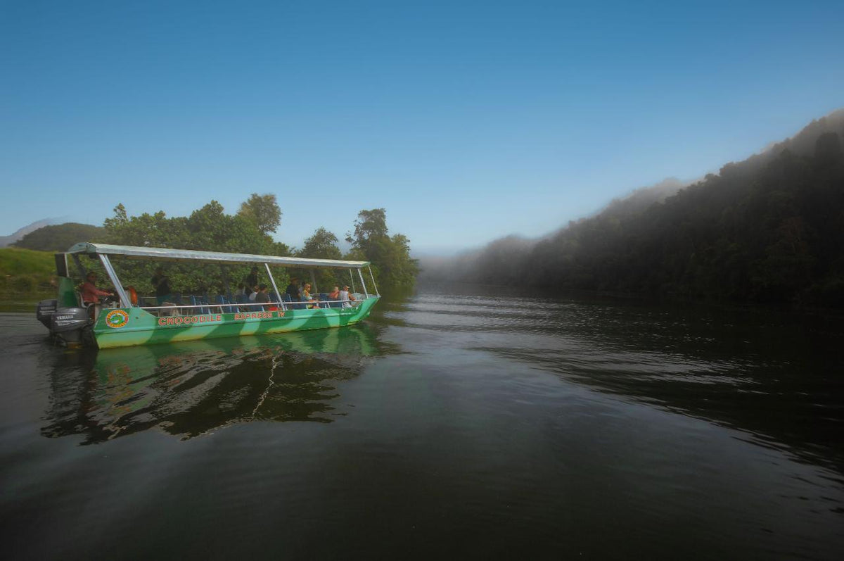 Crocodile Express Daintree Rainforest & Wildlife Cruise From Daintree Village