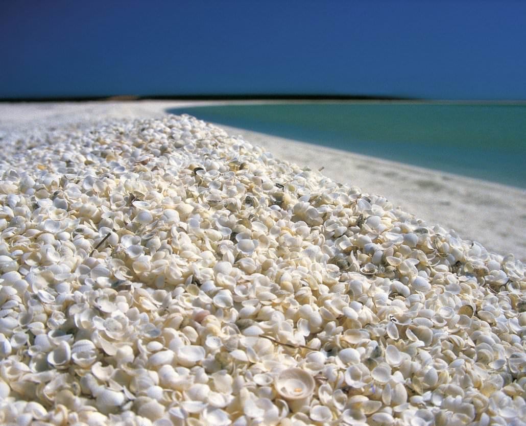 Outback Coast Tour