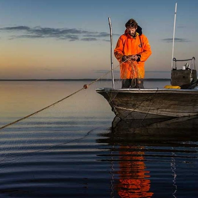 Coorong Seafood Dining Experience