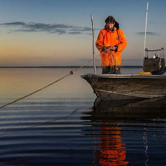 Coorong Seafood Dining Experience