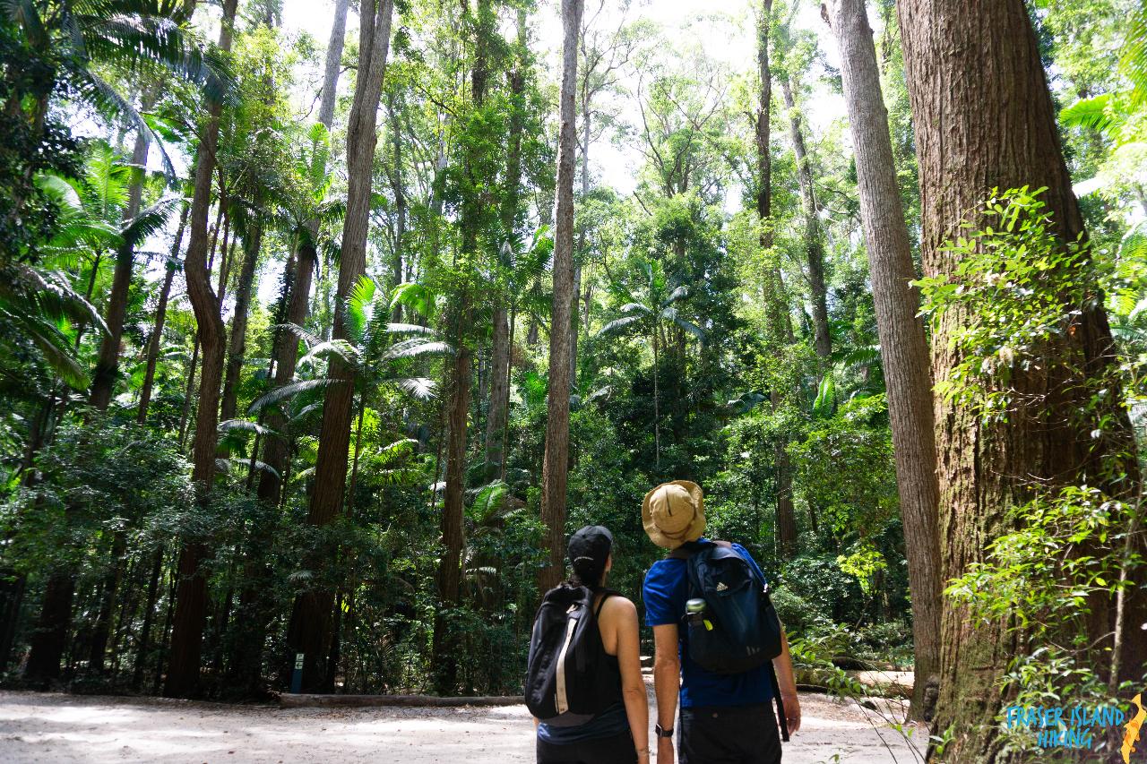 Pack-Free Camping: Blue Lakes Eco Hike - 3 Days